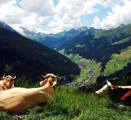 Hotel Garni Forelle Tux