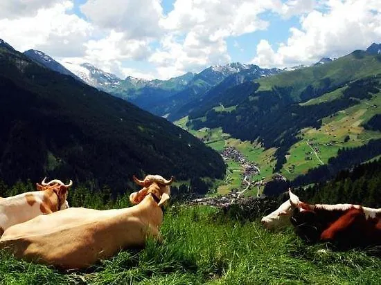 Szálloda Garni Forelle Tux