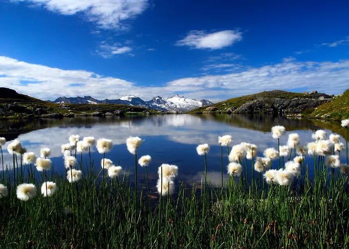 Garni Forelle Szálloda Tux