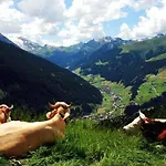 Hotel Garni Forelle Tux